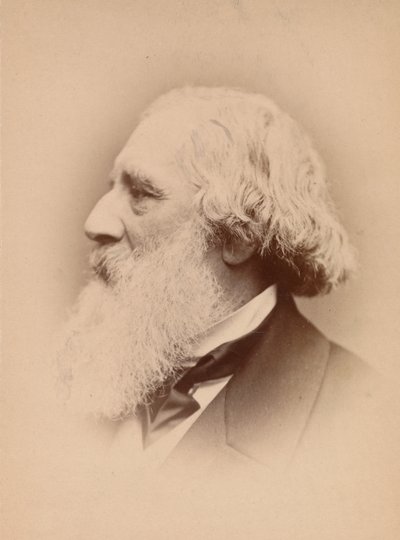 [John Frederick Lewis], década de 1860. de John and Charles Watkins