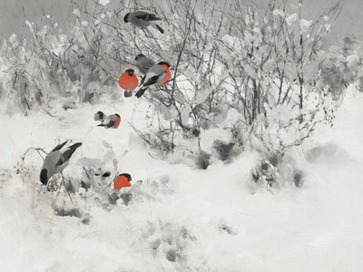 Pintassilgos-vermelhos na neve de Jolly and Dash