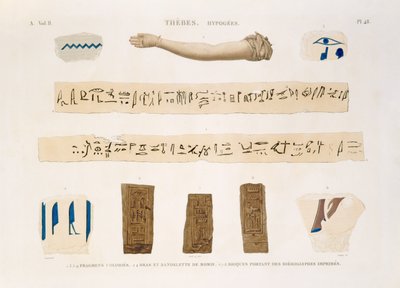 Ilustrações de hieróglifos e o braço de uma múmia de Hypogees, Tebas, placa 48 de Vol. II de `Descrições do Egito`, gravado por Charles, 1822 (aquatint) de Jomard