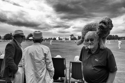 Goodwood Estate em West Sussex, Reino Unido, 2018 (foto) de Jon Nicholson