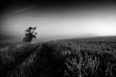 Goodwood Estate em West Sussex, Reino Unido, 2019 (foto) de Jon Nicholson