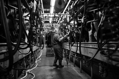 Goodwood Estate em West Sussex, Reino Unido, 2019 (foto) de Jon Nicholson