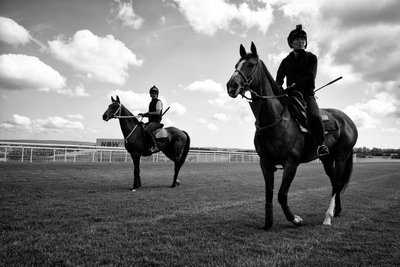 Goodwood Estate em West Sussex, Reino Unido, 2019 (foto) de Jon Nicholson