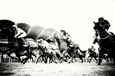 Goodwood Estate em West Sussex, Reino Unido, 2019 (foto) de Jon Nicholson