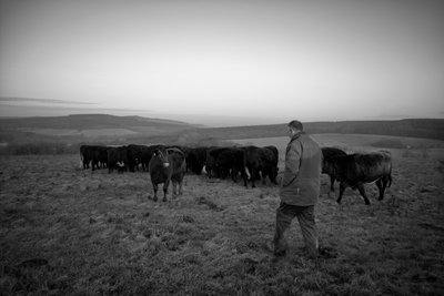 Goodwood Estate em West Sussex, Reino Unido, 2019 (foto) de Jon Nicholson