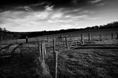 Goodwood Estate em West Sussex, Reino Unido, 2019 (foto) de Jon Nicholson