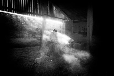 O Goodwood Estate em West Sussex, Reino Unido, 2020 (foto) de Jon Nicholson