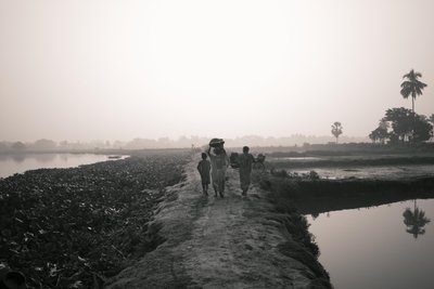 Pesca em zonas húmidas de Calcutá, 2016 (foto) de Jon Nicholson