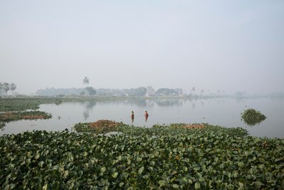 Pesca em zonas húmidas de Calcutá, 2016 (foto) de Jon Nicholson