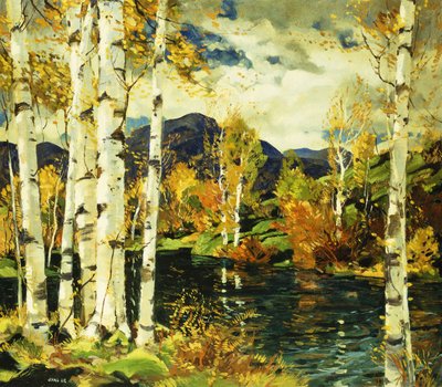 Vidoeiro de Jonas Lie