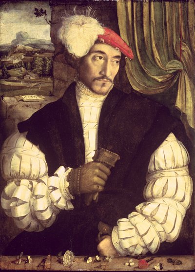 Retrato de um homem, 1533 de Jorg I Breu