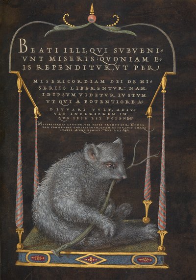 Uma preguiça de Joris Hoefnagel