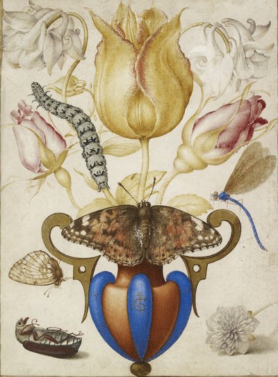 Arranjo de Flores em um vaso, com insetos, 1594 (Aguarela com ouro em velino) de Joris Hoefnagel