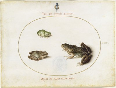  de Joris Hoefnagel
