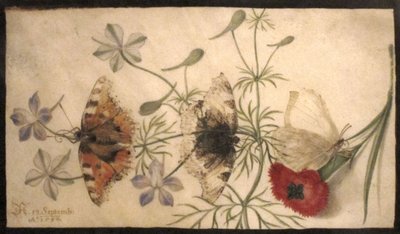 Estudos de flores e borboletas de Joris Hoefnagel