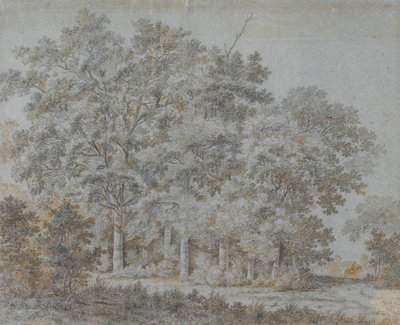 Floresta e cavaleiro de Joris van der Hagen