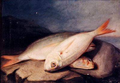 Espanhol: Bodegón de peces de José Arias Ramírez