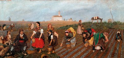 “" O Saffron Collect "" Detalhe. Pintura de Jose Albinana Bru (século XIX). 1877. Valência. Museu de Belas Artes San Pio V. de Jose Bru Albinana