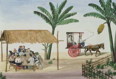 Imagem desconhecida de Jose Honorato Lozano