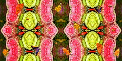 Criaturas: Abelhas + Borboletas no Jardim das Rosas de Josef Johann Michel