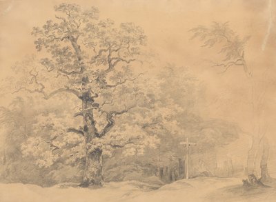 Estudo sobre árvores de Josef Kriehuber