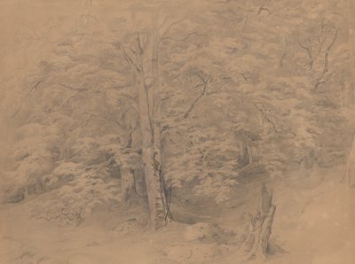  de Josef Kriehuber