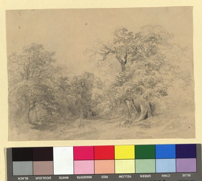 Paisagem florestal de Josef Kriehuber