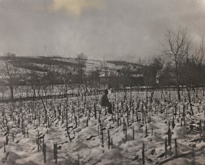 Álbum "Meine weltkriegs - Erinnerungen South-West Front (Caríntia, Itália, Tirol do Sul) (My world war - memories of the South-Western Front in Carinthia, Italy, Trentino-Alto Adige) 31/03/1915-12/11/1918 - Josef Zohles Wien ": Cemitério militar (foto a p/ de Josef Zohles