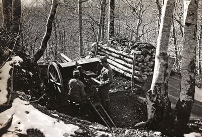 Álbum "Meine weltkriegs - Erinnerungen South-West Front (Caríntia, Itália, Tirol do Sul) (My world war - memories of the South-Western Front in Carinthia, Italy, Trentino-Alto Adige) 31/03/1915-12/11/1918 - Josef Zohles Wien ": Soldados com canhão (p/b p de Josef Zohles