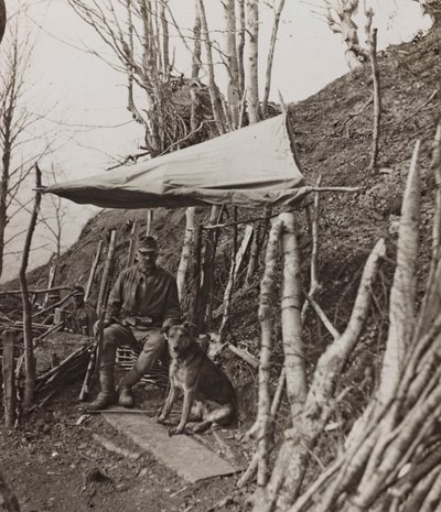 Álbum "Meine weltkriegs - Erinnerungen South-West Front (Caríntia, Itália, Tirol do Sul) (My world war - memories of the South-Western Front in Carinthia, Italy, Trentino-Alto Adige) 31/03/1915-12/11/1918 - Josef Zohles Wien ": cão militar debaixo de uma t de Josef Zohles