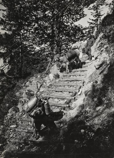 Álbum "Meine weltkriegs - Erinnerungen South-West Front (Caríntia, Itália, Tirol do Sul) (My world war - memories of the South-Western Front in Carinthia, Italy, Trentino-Alto Adige) 31/03/1915-12/11/1918 - Josef Zohles Wien ": Mulas do exército ao longo d de Josef Zohles
