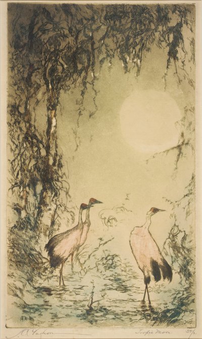 Lua Tropical de Joseph C. Claghorn
