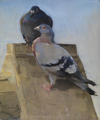 Pombos no telhado (guache sobre linho) de Joseph Crawhall