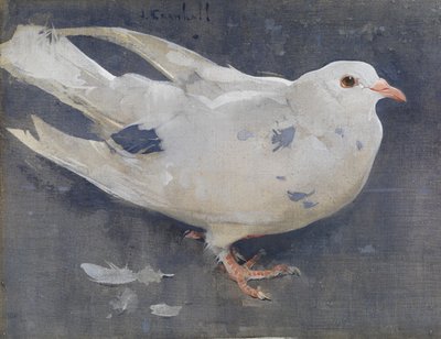 O Pombo (guache sobre linho) de Joseph Crawhall