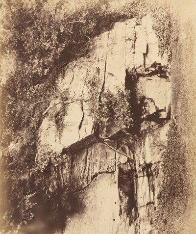 Abadia das Fontes. A Rocha do Eco, década de 1850. de Joseph Cundall