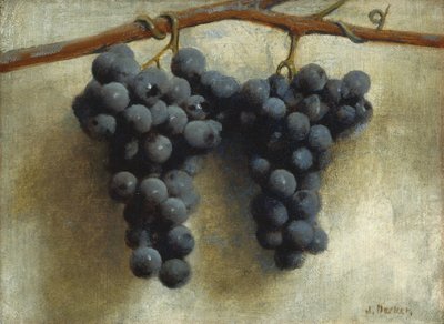 Uvas, c.1890-1895 (óleo sobre tela) de Joseph Decker