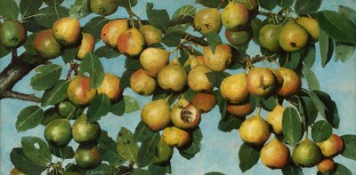 Peras a amadurecer, c.1884-1885 (óleo sobre tela) de Joseph Decker