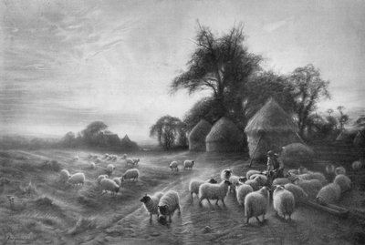 Alimentação de ovinos, c1890, 1911 de Joseph Farquharson