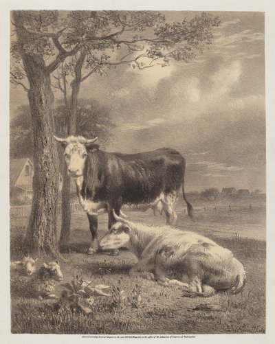 Gado Ruminando de Joseph Foxcroft Cole