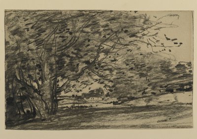 Estudo de Árvores, 1870 (grafite sobre papel) de Joseph Frank Currier
