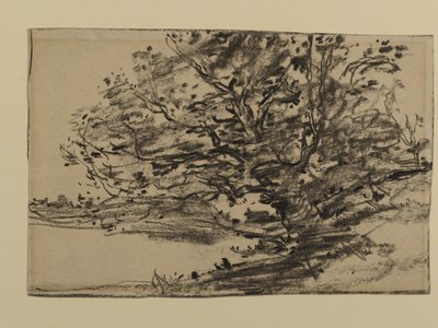 Estudo de Árvores, 1870 (grafite sobre papel) de Joseph Frank Currier