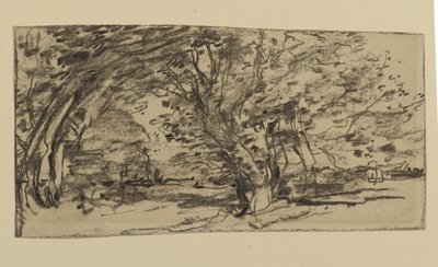 Estudo de Árvores, 1870 (grafite sobre papel) de Joseph Frank Currier