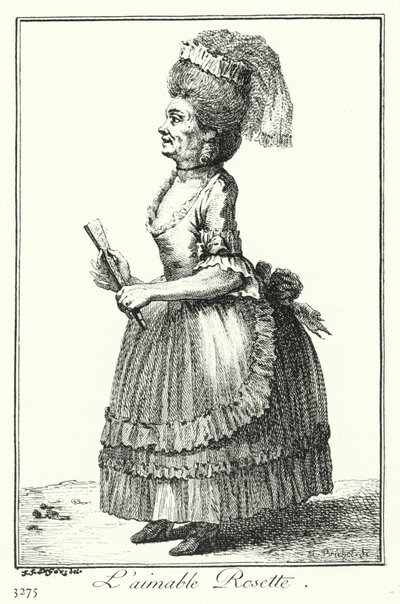 A Lovely Rosette (gravura) de Joseph Franz von (after) Goez