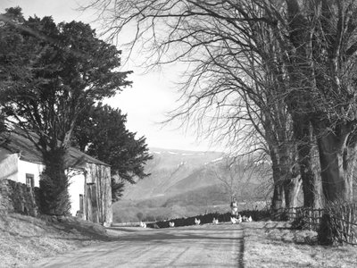 Uma mulher numa estrada com galinhas, edifícios à esquerda e montanhas ao fundo de Joseph Hardman
