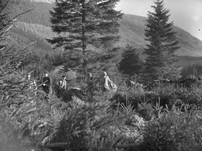 Homens a trabalhar entre árvores de Natal abatidas em Thirlmere de Joseph Hardman