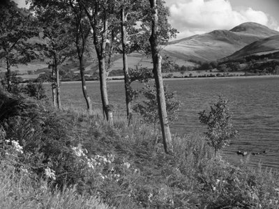 A margem de um lago rodeada por um bosque, com as montanhas ao fundo de Joseph Hardman