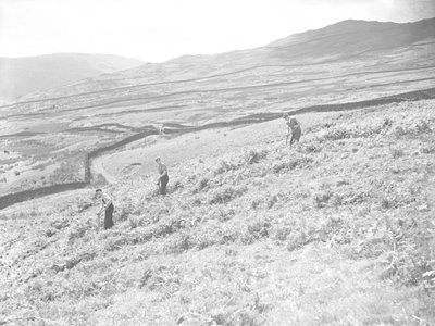 Três homens no campo a ceifar fetos de Joseph Hardman
