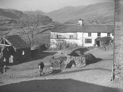Três rapazes a observar cavalos no pátio da quinta em Kentmere, com a quinta e as montanhas por trás de Joseph Hardman