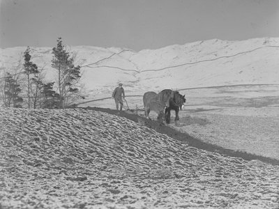 Dois cavalos a lavrar no vale de Lune de Joseph Hardman