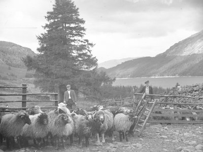 Dois pastores com um rebanho de ovelhas e Thirlmere atrás de Joseph Hardman